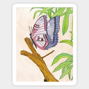 Butterfly Drawing Sticker